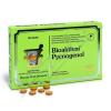 Bioaktivn Pycnogenol tbl.90